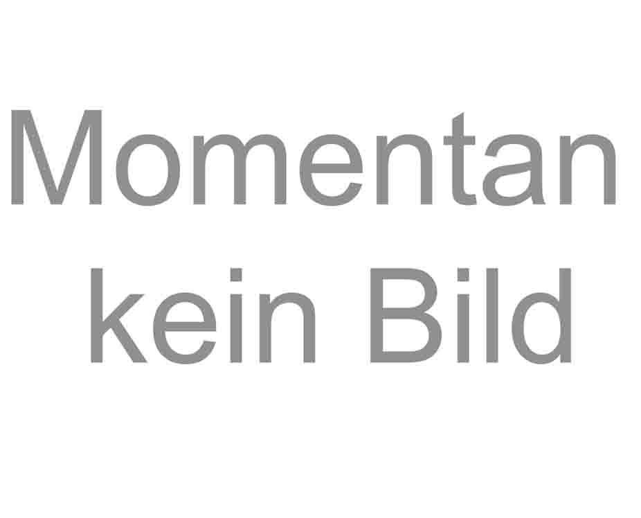 Systemleitung PB M12 BW