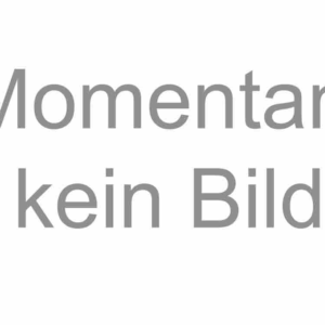 Y-Anschluss Kombigeber